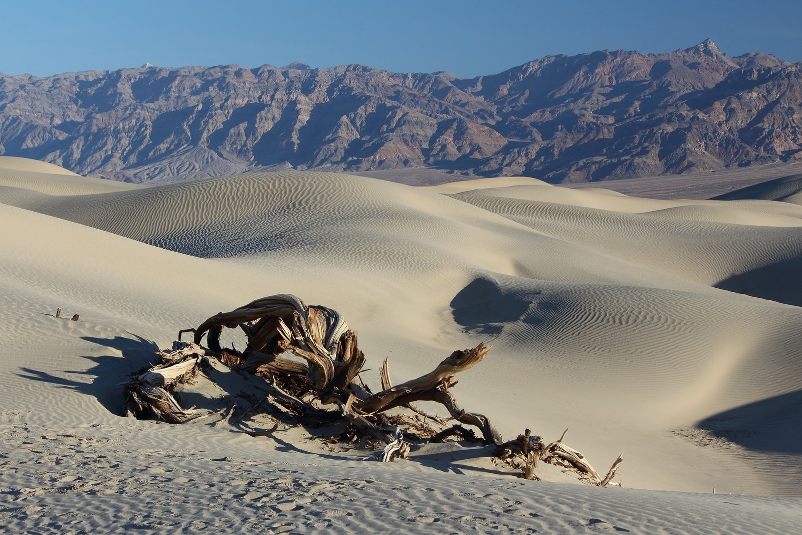 Dag 17 - 18 Death Valley National Park Area 