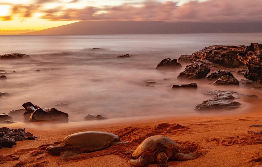 Rondreis Hawaii