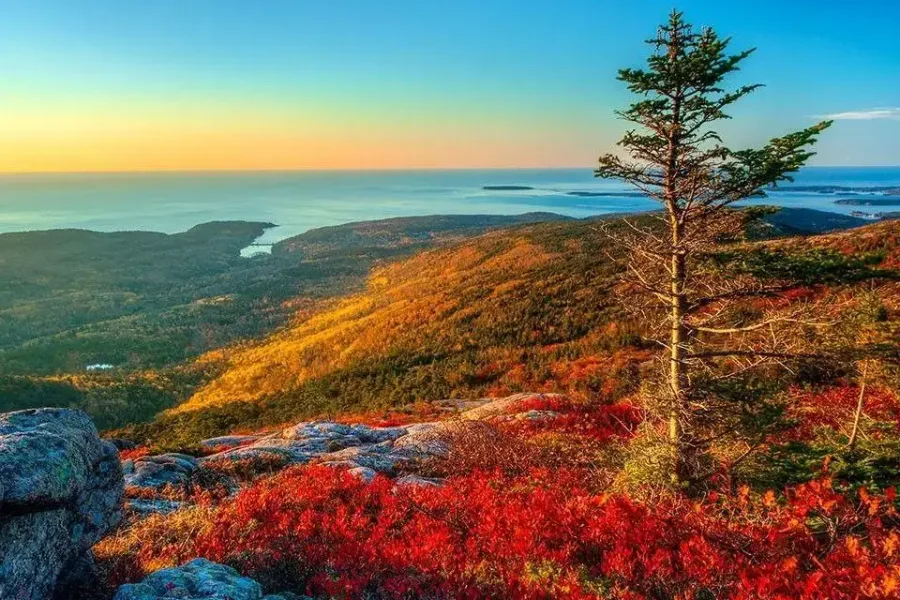 Bar Harbor